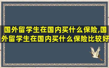 国外留学生在国内买什么保险,国外留学生在国内买什么保险比较好