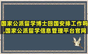 国家公派留学博士回国安排工作吗,国家公派留学信息管理平台官网