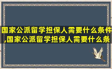 国家公派留学担保人需要什么条件,国家公派留学担保人需要什么条件才能申请