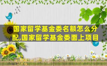 国家留学基金委名额怎么分配,国家留学基金委面上项目