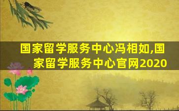 国家留学服务中心冯相如,国家留学服务中心官网2020