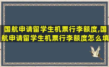 国航申请留学生机票行李额度,国航申请留学生机票行李额度怎么填