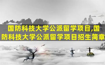 国防科技大学公派留学项目,国防科技大学公派留学项目招生简章