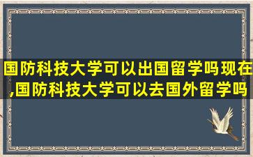 国防科技大学可以出国留学吗现在,国防科技大学可以去国外留学吗