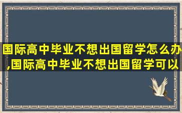 国际高中毕业不想出国留学怎么办,国际高中毕业不想出国留学可以上什么学校