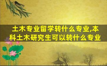 土木专业留学转什么专业,本科土木研究生可以转什么专业