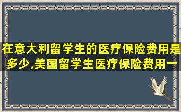 在意大利留学生的医疗保险费用是多少,美国留学生医疗保险费用一年多少