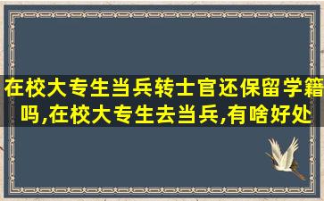 在校大专生当兵转士官还保留学籍吗,在校大专生去当兵,有啥好处,转士官容易吗