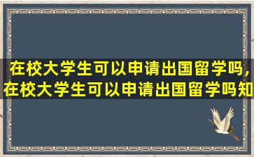 在校大学生可以申请出国留学吗,在校大学生可以申请出国留学吗知乎