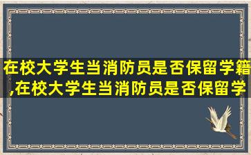 在校大学生当消防员是否保留学籍,在校大学生当消防员是否保留学籍,有没有文件