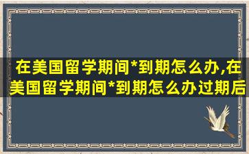 在美国留学期间*
到期怎么办,在美国留学期间*
到期怎么办过期后能回国吗