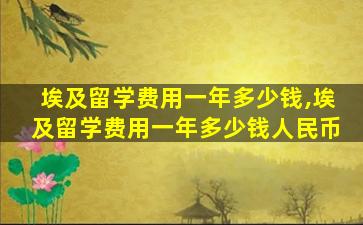 埃及留学费用一年多少钱,埃及留学费用一年多少钱人民币