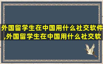 外国留学生在中国用什么社交软件,外国留学生在中国用什么社交软件比较好