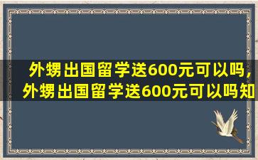 外甥出国留学送600元可以吗,外甥出国留学送600元可以吗知乎