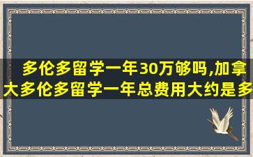 多伦多留学一年30万够吗,加拿大多伦多留学一年总费用大约是多少