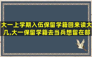 大一上学期入伍保留学籍回来读大几,大一保留学籍去当兵想留在部队了那学籍怎么办