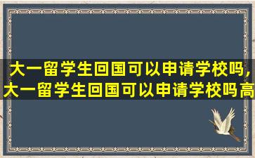 大一留学生回国可以申请学校吗,大一留学生回国可以申请学校吗高中