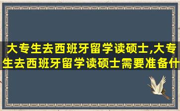 大专生去西班牙留学读硕士,大专生去西班牙留学读硕士需要准备什么