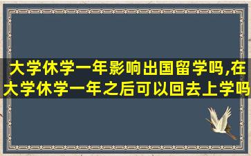 大学休学一年影响出国留学吗,在大学休学一年之后可以回去上学吗