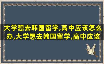 大学想去韩国留学,高中应该怎么办,大学想去韩国留学,高中应该怎么办理