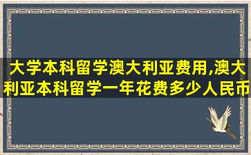 大学本科留学澳大利亚费用,澳大利亚本科留学一年花费多少人民币