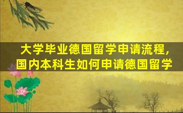 大学毕业德国留学申请流程,国内本科生如何申请德国留学