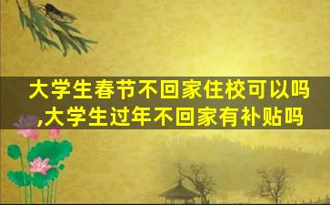 大学生春节不回家住校可以吗,大学生过年不回家有补贴吗