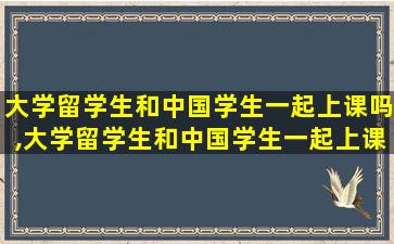 大学留学生和中国学生一起上课吗,大学留学生和中国学生一起上课吗知乎