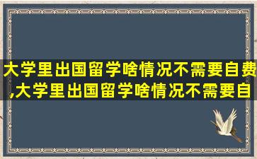 大学里出国留学啥情况不需要自费,大学里出国留学啥情况不需要自费隔离