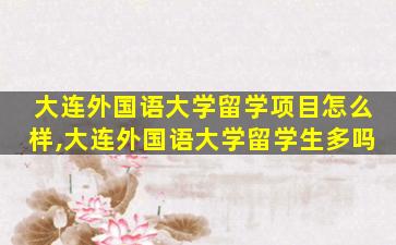 大连外国语大学留学项目怎么样,大连外国语大学留学生多吗