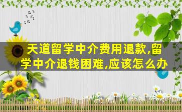 天道留学中介费用退款,留学中介退钱困难,应该怎么办