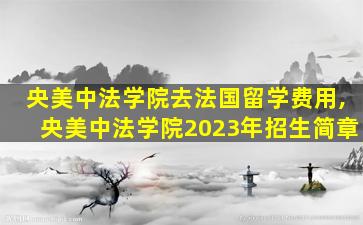 央美中法学院去法国留学费用,央美中法学院2023年招生简章