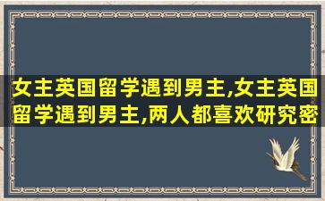 女主英国留学遇到男主,女主英国留学遇到男主,两人都喜欢研究密码