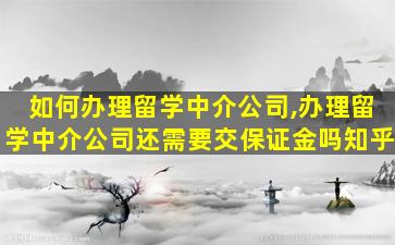 如何办理留学中介公司,办理留学中介公司还需要交保证金吗知乎