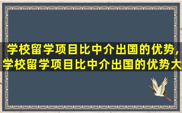 学校留学项目比中介出国的优势,学校留学项目比中介出国的优势大吗