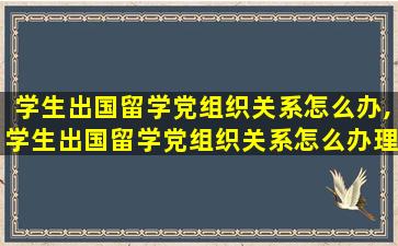 学生出国留学党组织关系怎么办,学生出国留学党组织关系怎么办理手续