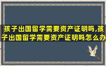 孩子出国留学需要资产证明吗,孩子出国留学需要资产证明吗怎么办