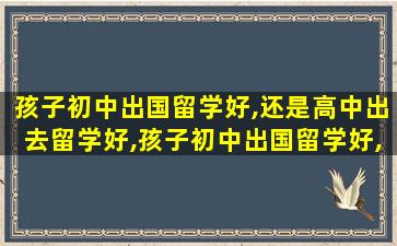 孩子初中出国留学好,还是高中出去留学好,孩子初中出国留学好,还是高中出去留学好一点