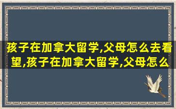 孩子在加拿大留学,父母怎么去看望,孩子在加拿大留学,父母怎么去看望他们