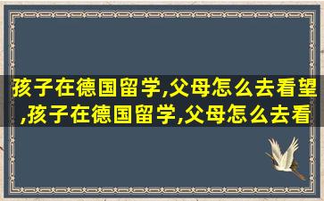 孩子在德国留学,父母怎么去看望,孩子在德国留学,父母怎么去看望他们