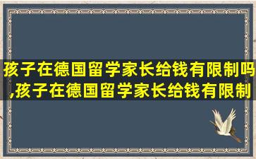 孩子在德国留学家长给钱有限制吗,孩子在德国留学家长给钱有限制吗