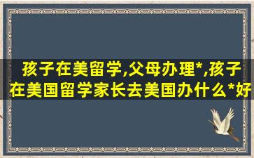 孩子在美留学,父母办理*
,孩子在美国留学家长去美国办什么*
好