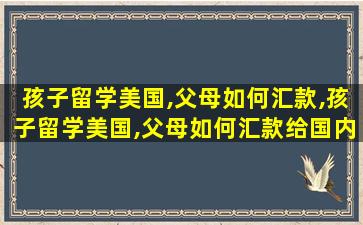 孩子留学美国,父母如何汇款,孩子留学美国,父母如何汇款给国内