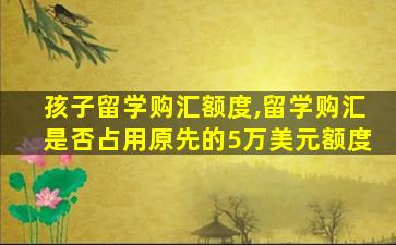 孩子留学购汇额度,留学购汇是否占用原先的5万美元额度