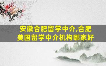 安徽合肥留学中介,合肥美国留学中介机构哪家好