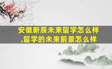 安徽新辰未来留学怎么样,留学的未来前景怎么样