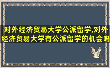 对外经济贸易大学公派留学,对外经济贸易大学有公派留学的机会吗