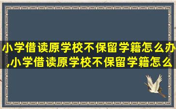 小学借读原学校不保留学籍怎么办,小学借读原学校不保留学籍怎么办手续