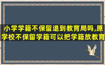 小学学籍不保留退到教育局吗,原学校不保留学籍可以把学籍放教育局吗