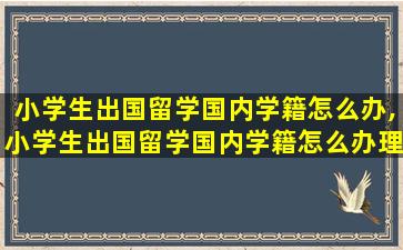 小学生出国留学国内学籍怎么办,小学生出国留学国内学籍怎么办理手续